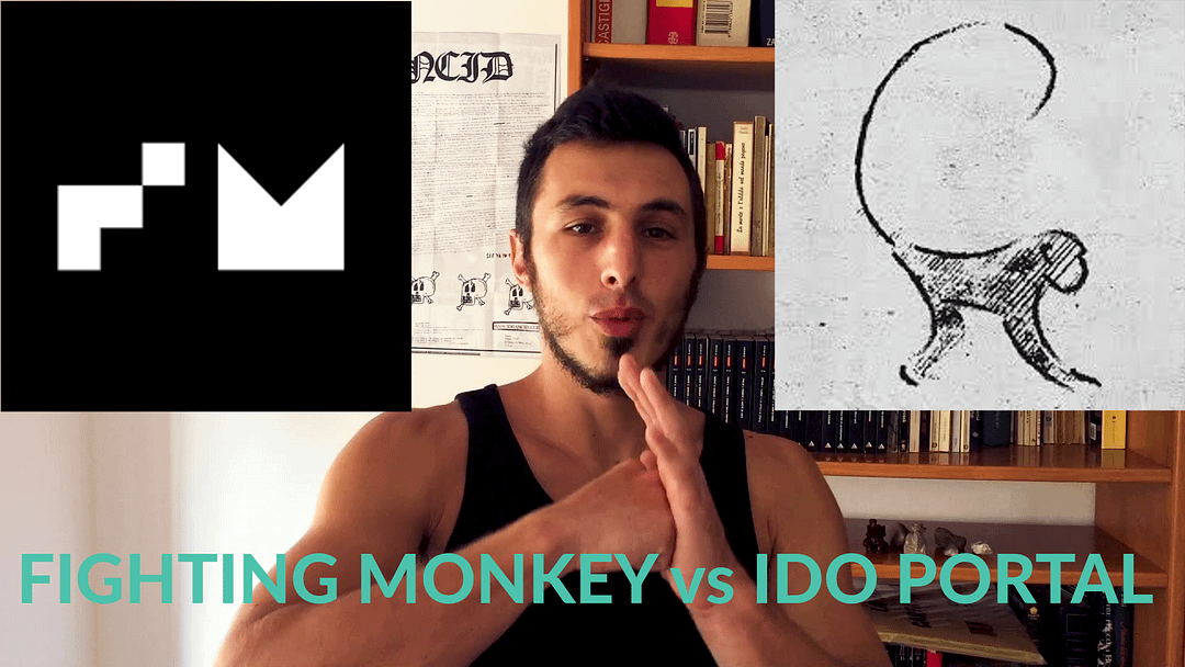 ido portal vs fighting monkey: la falsità dell'isolamento?