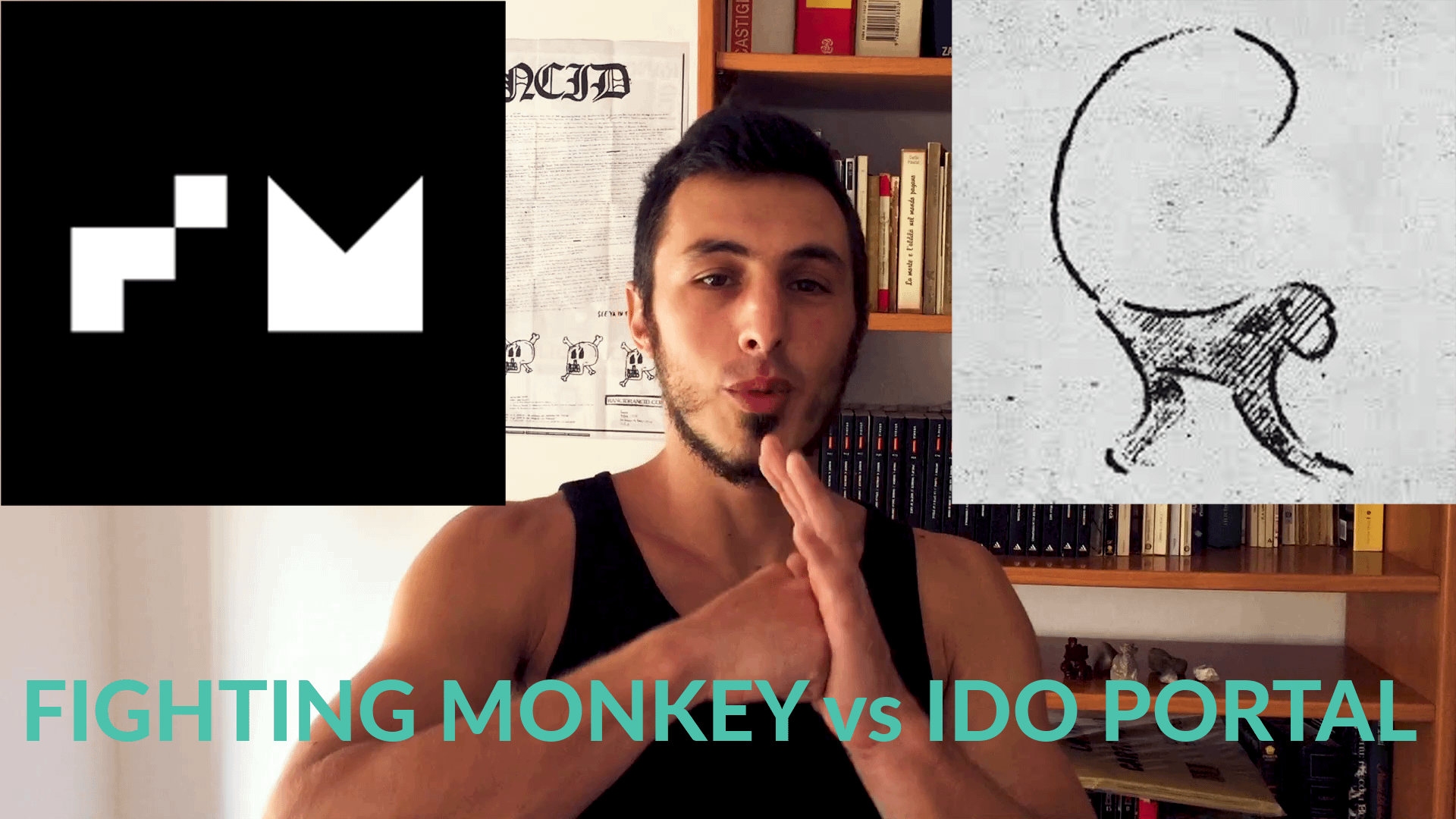 ido portal vs fighting monkey: la falsità dell'isolamento?