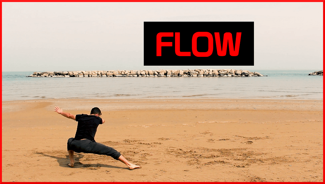 allenamento flow movement training